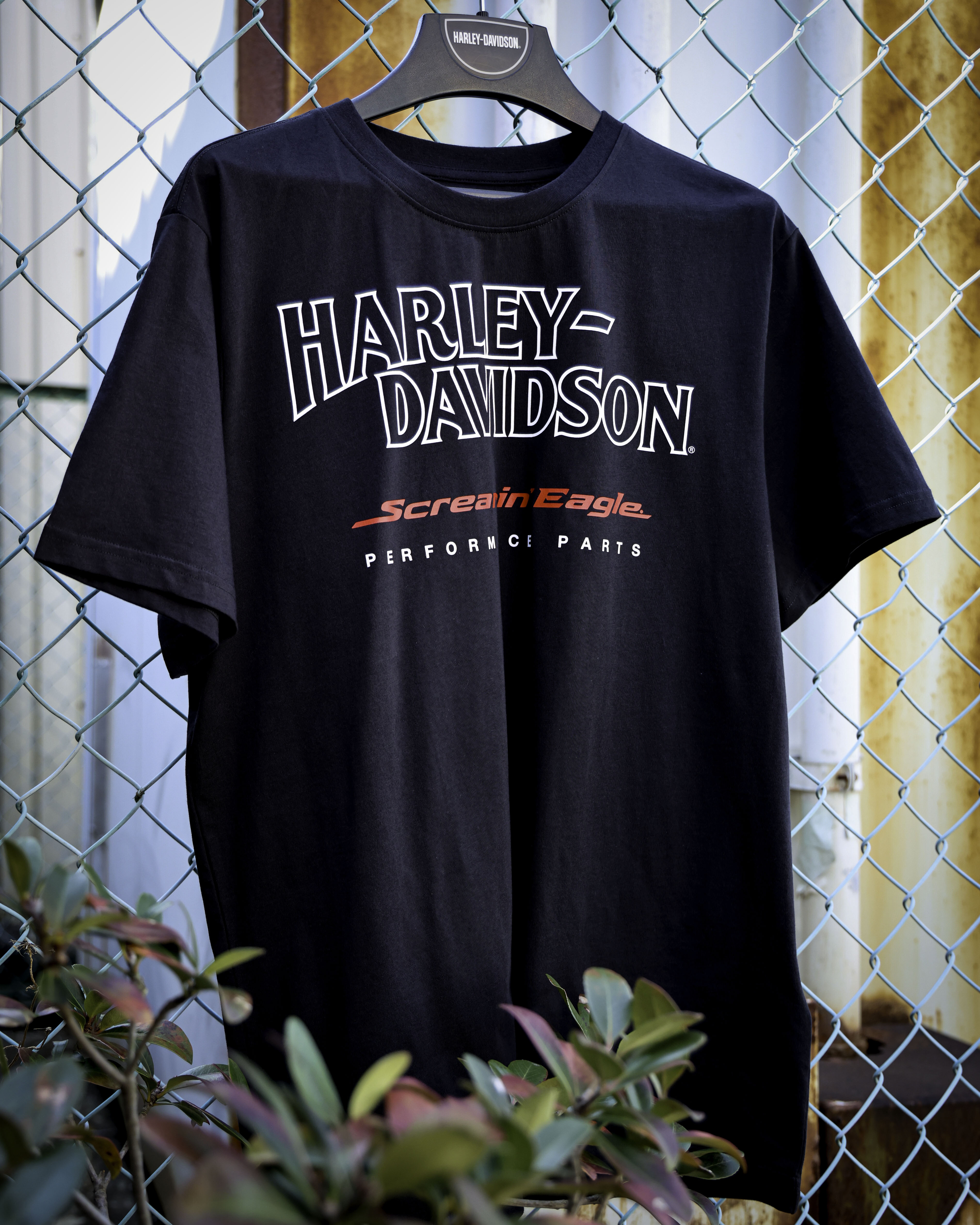 Distressed Eagle Graphic Tee